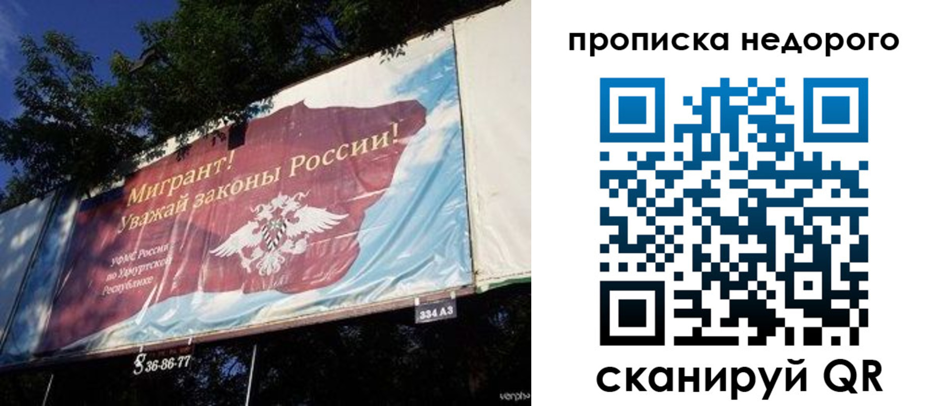 прописка для работы в Елизово