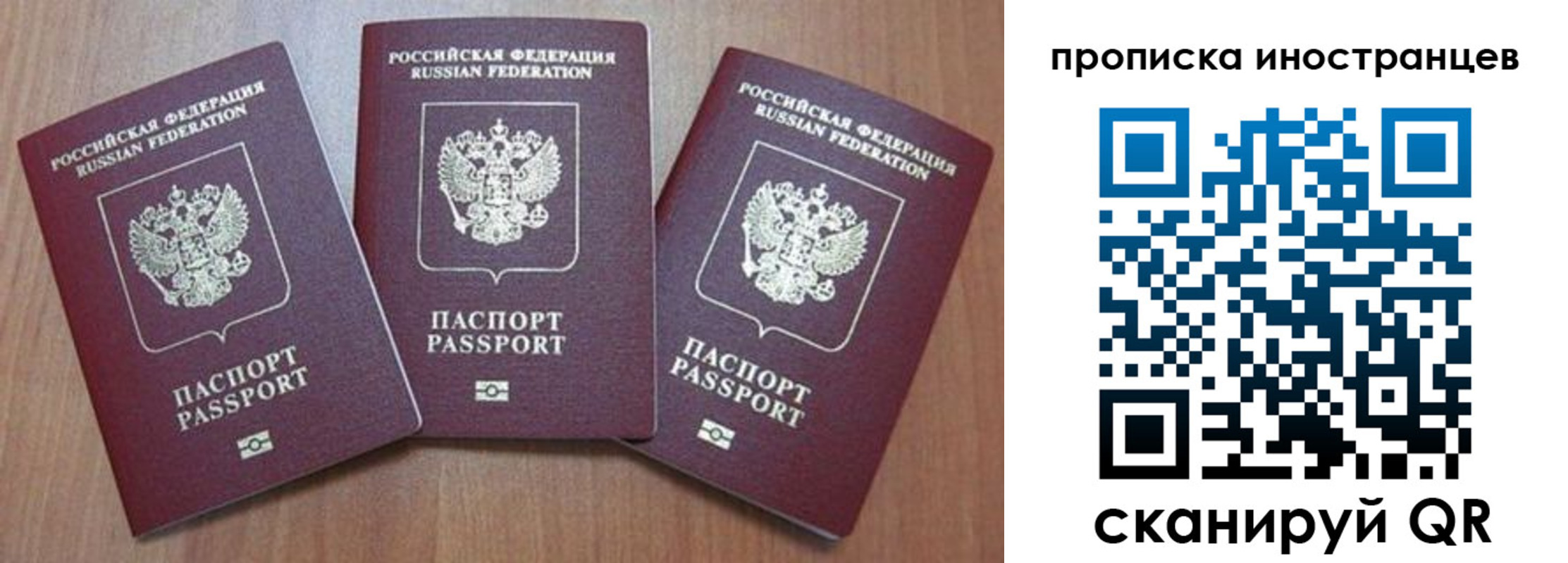 где прописаться в Елизово